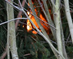 Osterfeuer (13)