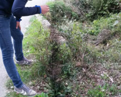 frankreichfreizeit_2016 (21)