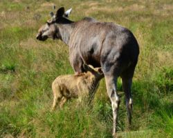 schwedenfreizeit_2012 (33)