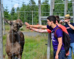 schwedenfreizeit_2012 (34)