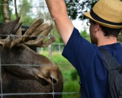 schwedenfreizeit_2012 (35)