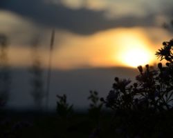 schwedenfreizeit_2012 (9)